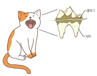 고양이가 음식을 잘 흘리고 밥을 먹다 뱉는다면?