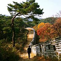 Travels with Kim님의 프로필 사진