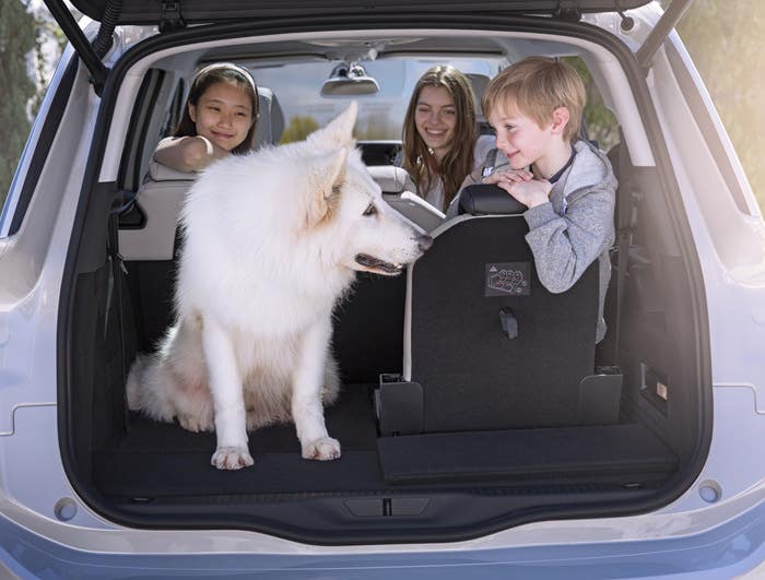 반려동물과 함께 하는
드라이빙 기초상식
