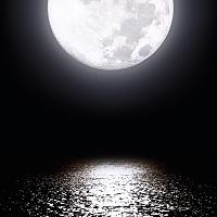 달밤에춤님의 프로필 사진