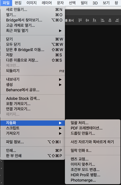 포토샵_파노라마_작업_사진_(4).png