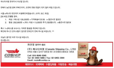 캐나다 런던 Self 랜딩 #항공이사