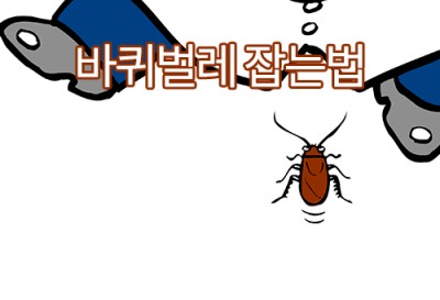 바퀴벌레 잡는법 따라와~ : 네이버 포스트