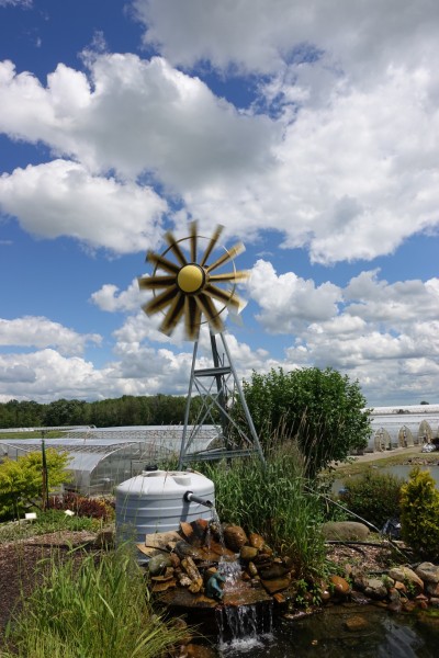 캐나다 런던 Heeman's Berry Farm ~