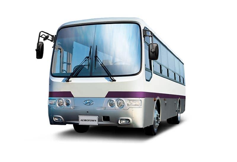 정겹거나 지겹거나, 국내 사골 자동차