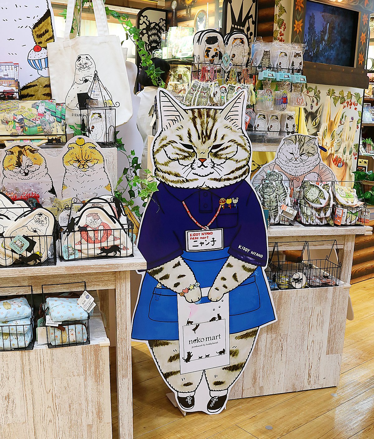 레알]고양이 혼자 두고 2박3일 일본여행 노하우(사각지대 없는 강아지Cctv 앱봇라일리) : 네이버 포스트