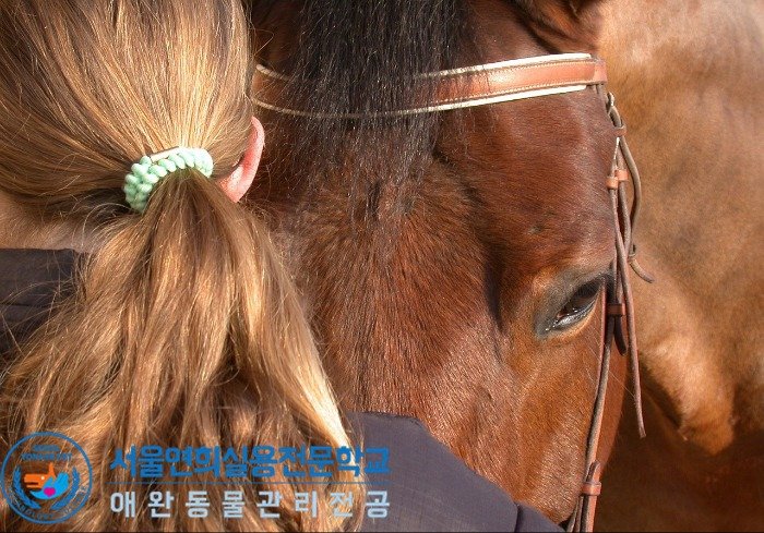 동물사육사 하는 일, 동물훈련사 되는 법, 취업, 연봉 : 네이버 포스트 동물사육사 하는 일, 동물훈련사 되는 법, 취업, 연봉 : 네이버 포스트