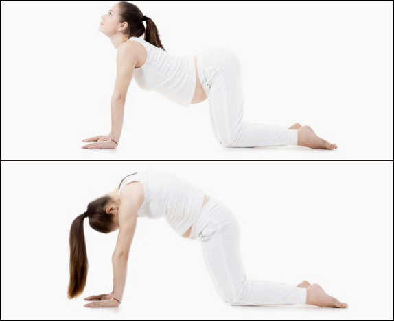 변비 운동과 변비 없애기 9