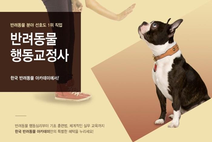 동물사육사연봉 대단한걸?! : 네이버 포스트 동물사육사연봉 대단한걸?! : 네이버 포스트