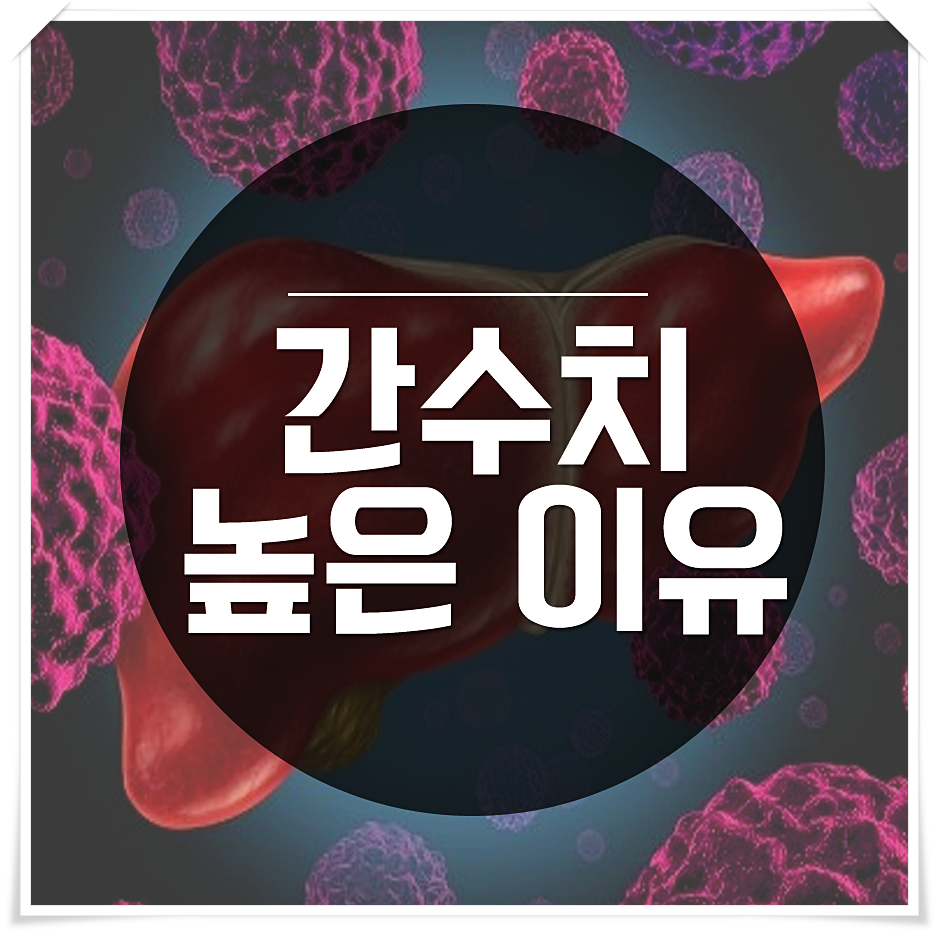 간수치 높은 이유 이제 알아야해 : 네이버 포스트
