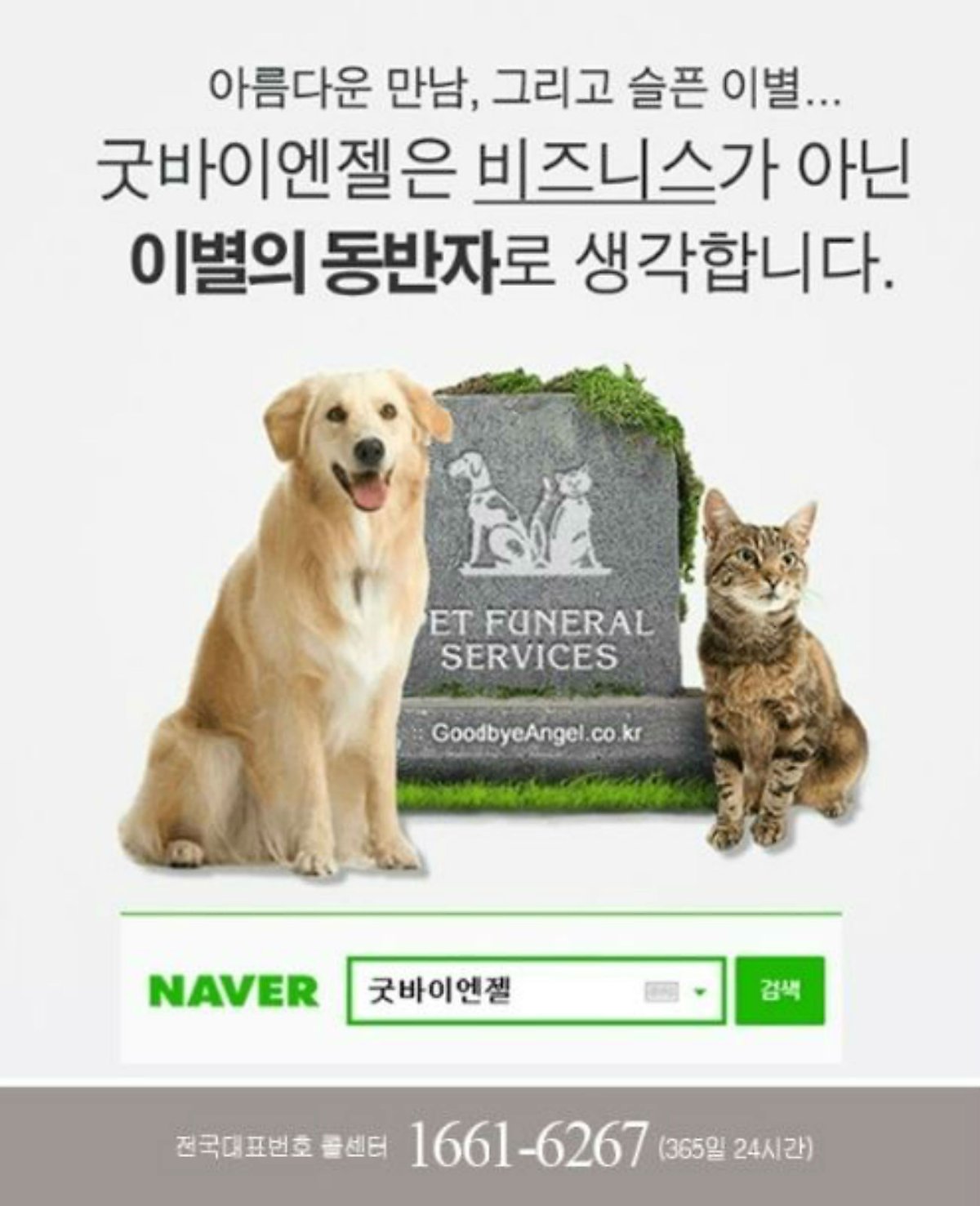고양이장례 고양이 죽을때 올바른 방법 : 네이버 포스트