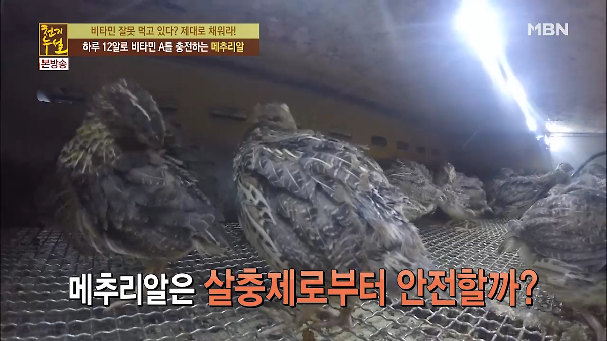 살충제 걱정 No! '저염 메추리알 장조림'으로 비타민 냠냠~ : 네이버 포스트