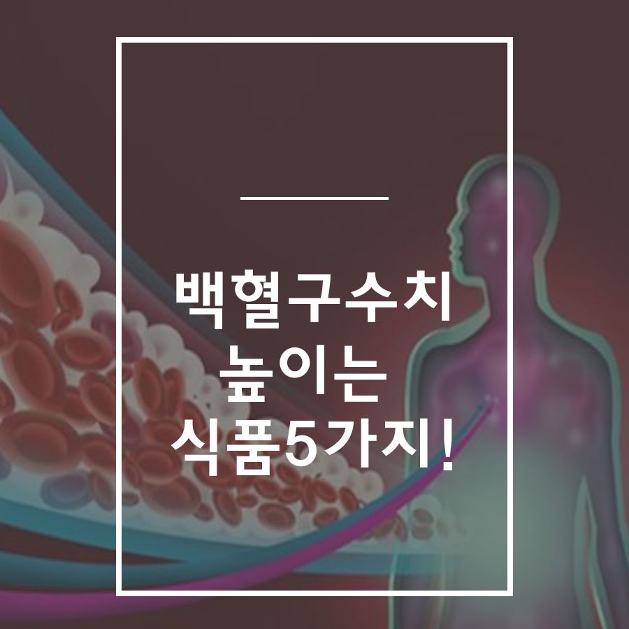 백혈구 수치 높이는 법 이런 식품이면 걱정 없어요! : 네이버 포스트