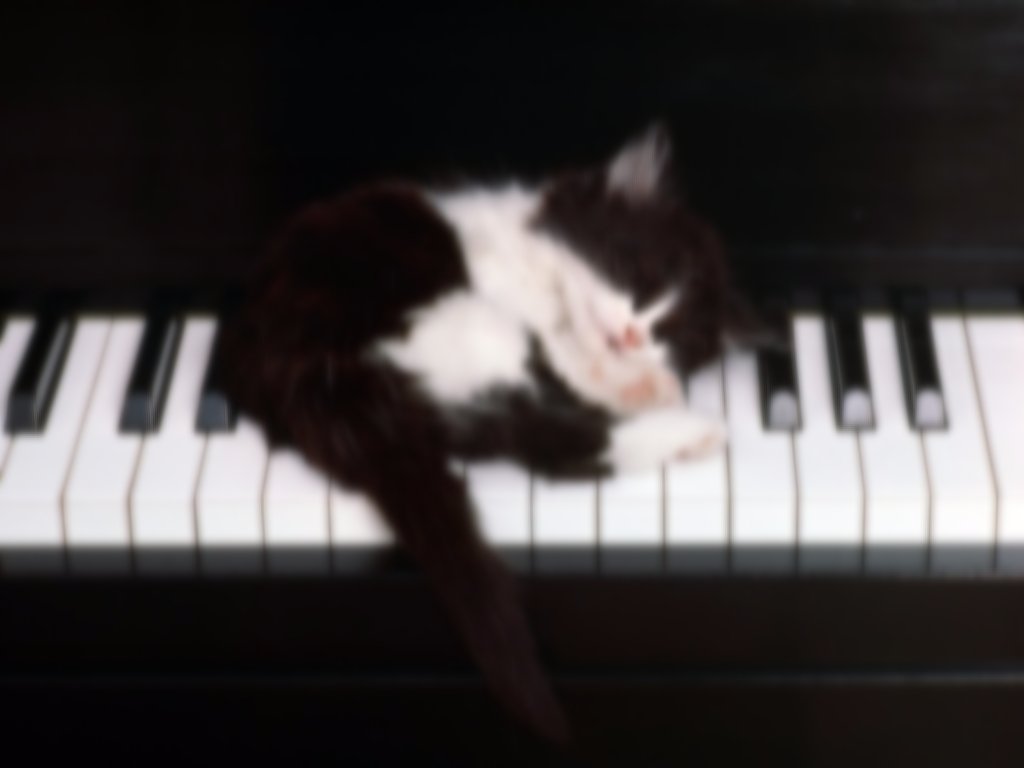 스트레스 해소용 고양이를 위한 음악이 있다 : 네이버 포스트