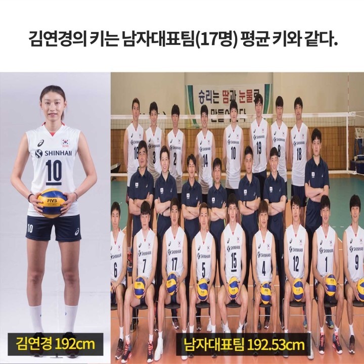 [카드뉴스] 알아봤자 쓸데없는 여자배구대표팀 T.M.I 모음