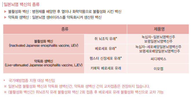 일본뇌염 생백신과 불활성화 접종 비교! 2