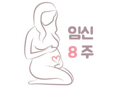 임신 정보│임신 8주차(임신2개월)│임신초기 증상과 꿀팁! : 네이버 포스트