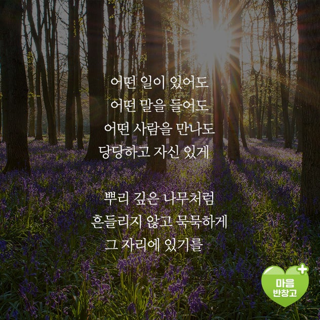 [좋은글]뿌리 깊은 나무 : 네이버 포스트