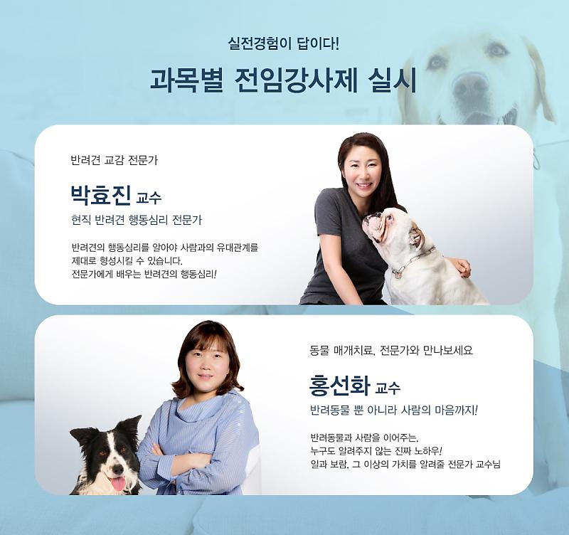 동물매개치료사가 진행하는 동물매개치료! : 네이버 포스트 동물매개치료사가 진행하는 동물매개치료! : 네이버 포스트