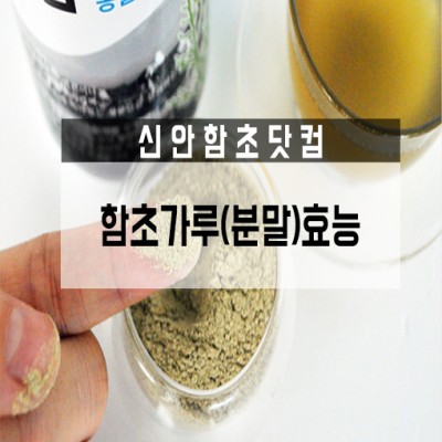 함초가루(분말)효능 한 번 체크하세요! : 네이버 포스트