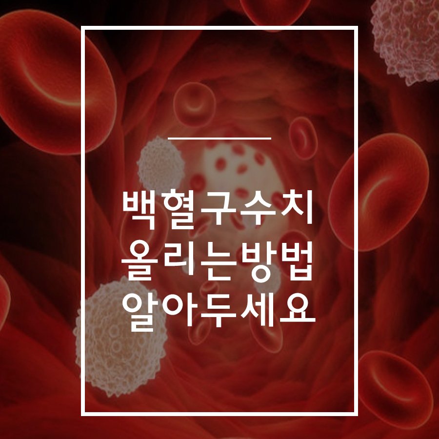 백혈구수치올리는방법 기억해두세요~! : 네이버 포스트