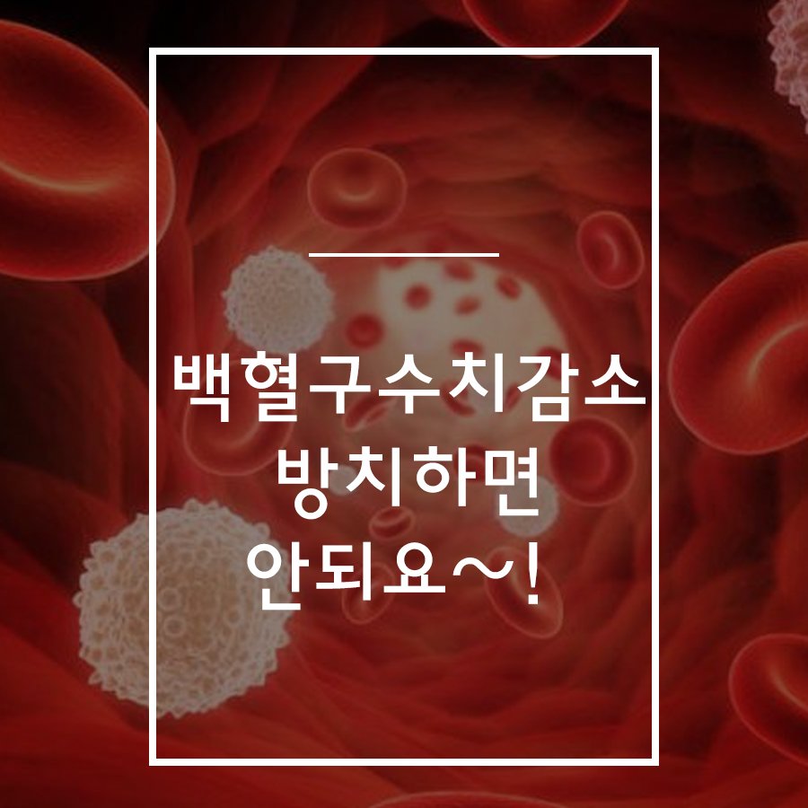 백혈구 수치 감소 방치하지마세요~! : 네이버 포스트