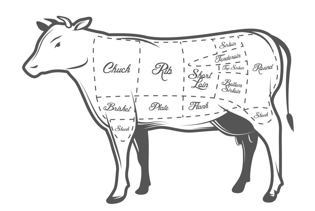 Корова какое мясо. Схема разделки коровы. Схема разделки говяжьей туши вектор. Рибай на схеме разделки говяжьей туши. Схема разрубки говяжьей туши.