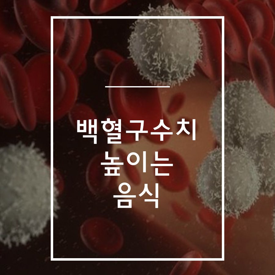 백혈구수치높이는음식 여기 있어요~! : 네이버 포스트