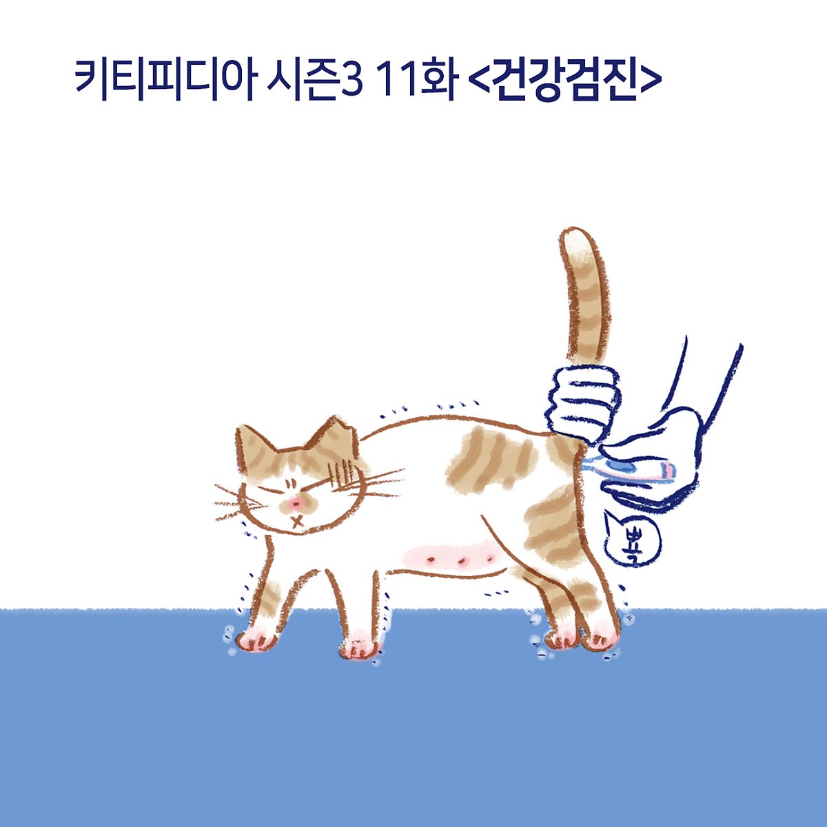 11.고양이 건강검진 : 네이버 포스트