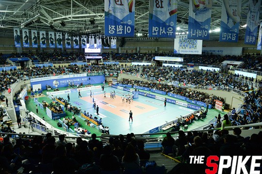 YYW_8343.jpg