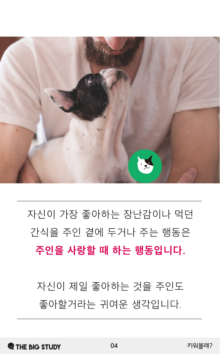 강아지가 주인을 좋아할 때 하는 행동 : 네이버 포스트