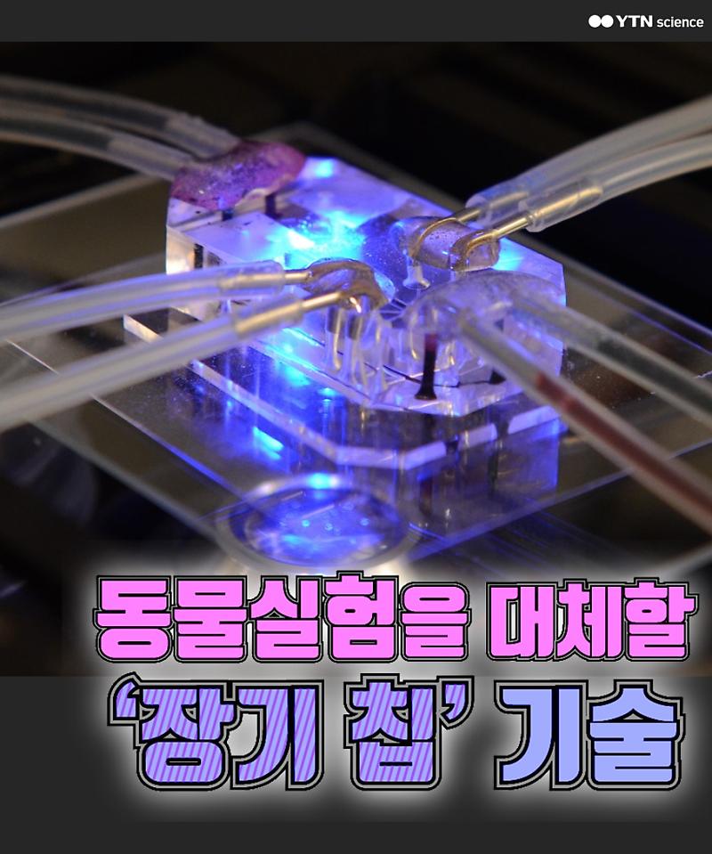 동물실험을 대체할 '장기 칩' 기술 : 네이버 포스트