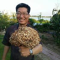 버섯대장 꽃송이버섯님의 프로필 사진