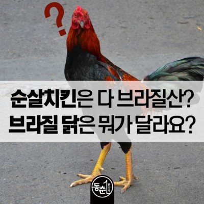 순살치킨은 다 브라질산? 브라질 닭은 뭐가 다른가요? : 네이버 포스트