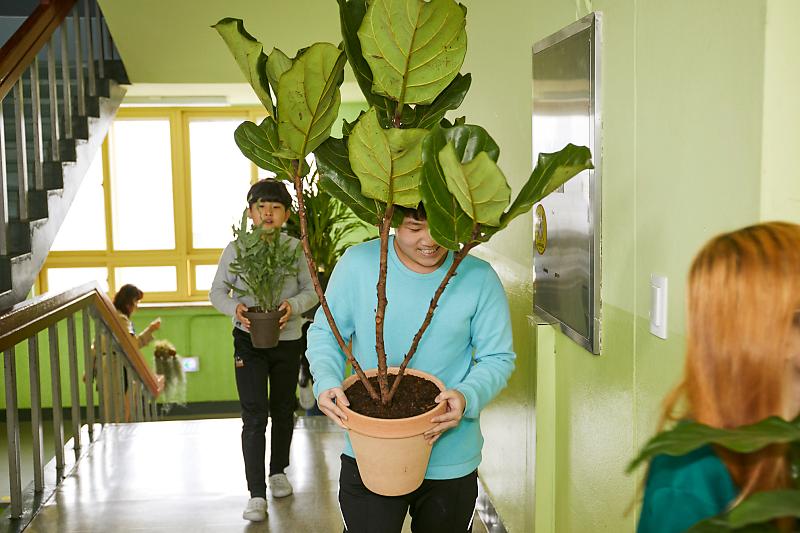 학교에 미세먼지 잡는 식물이 자란다? 초등학교 교실숲 조성 프로젝트 : 네이버 포스트