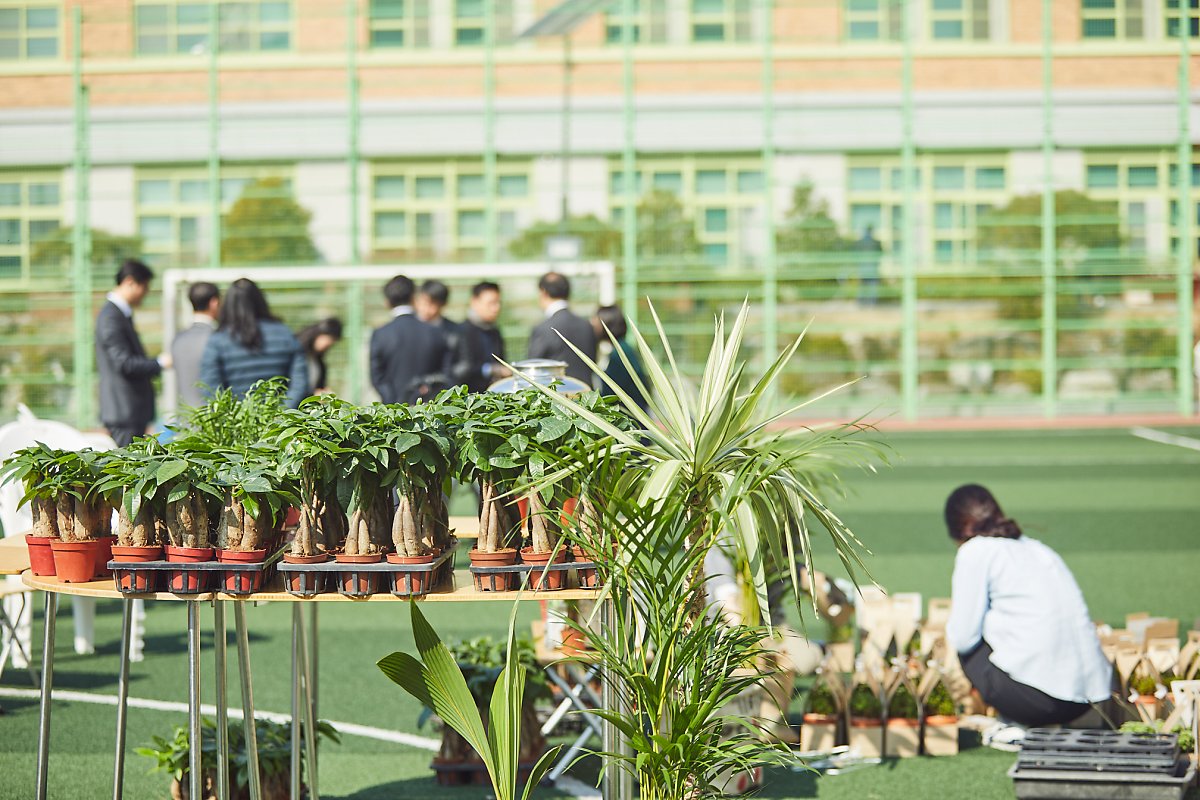 학교에 미세먼지 잡는 식물이 자란다? 초등학교 교실숲 조성 프로젝트 : 네이버 포스트