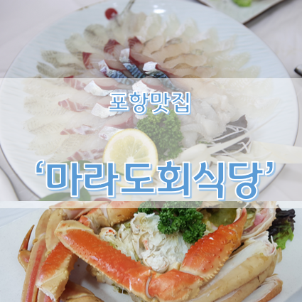 최강달인물회 마라도회식당