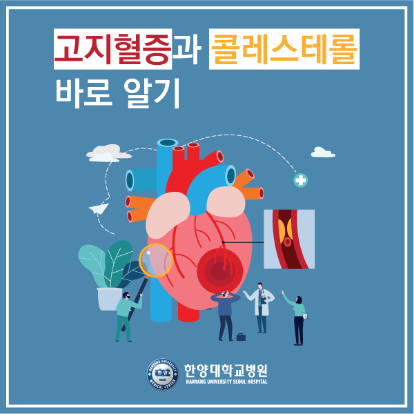 고지혈증, 콜레스테롤