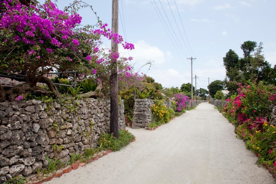 오키존패스]이시가키섬 주변섬 관광 섬에 숙박해야하나? 아니면 당일치기로? : 네이버 포스트