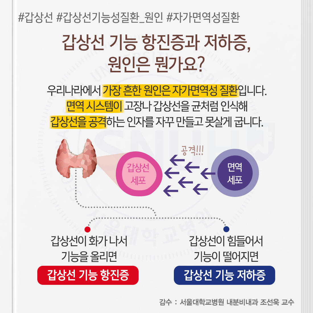 갑상선기능항진증과 저하증 꼼꼼하게 알아보자!