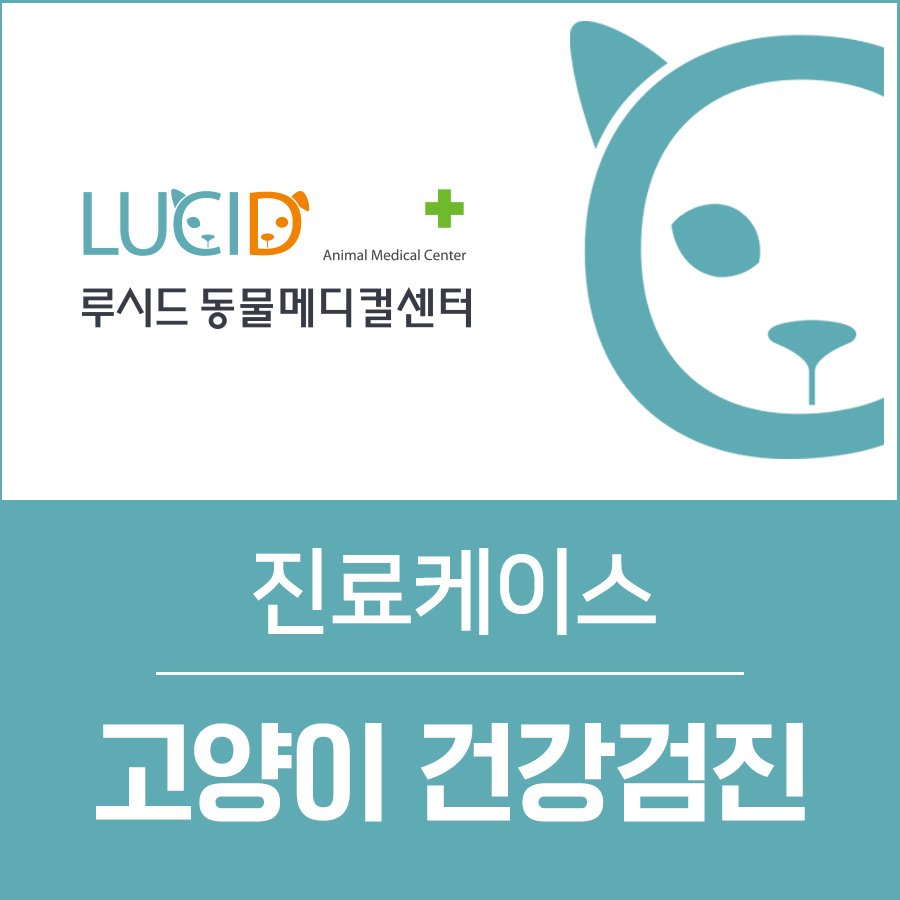 강북구동물병원 : 고양이 건강체크 방법과 건강검진프로그램을 소개합니다. : 네이버 포스트