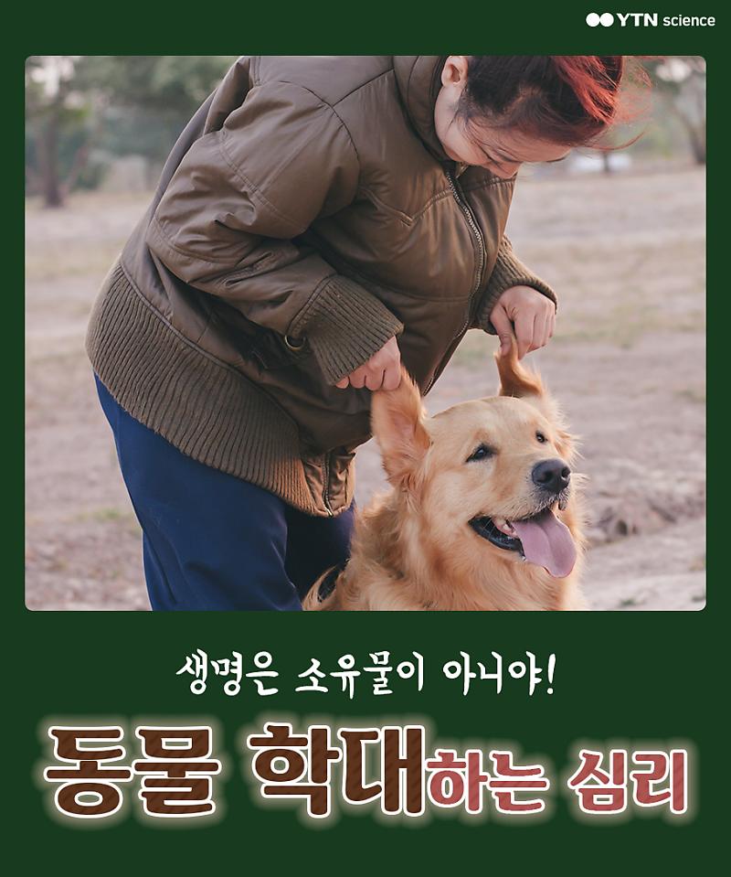 생명은 소유물이 아니야! 동물 학대하는 심리 : 네이버 포스트