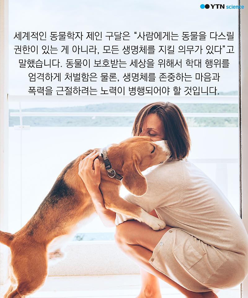 생명은 소유물이 아니야! 동물 학대하는 심리 : 네이버 포스트 생명은 소유물이 아니야! 동물 학대하는 심리 : 네이버 포스트