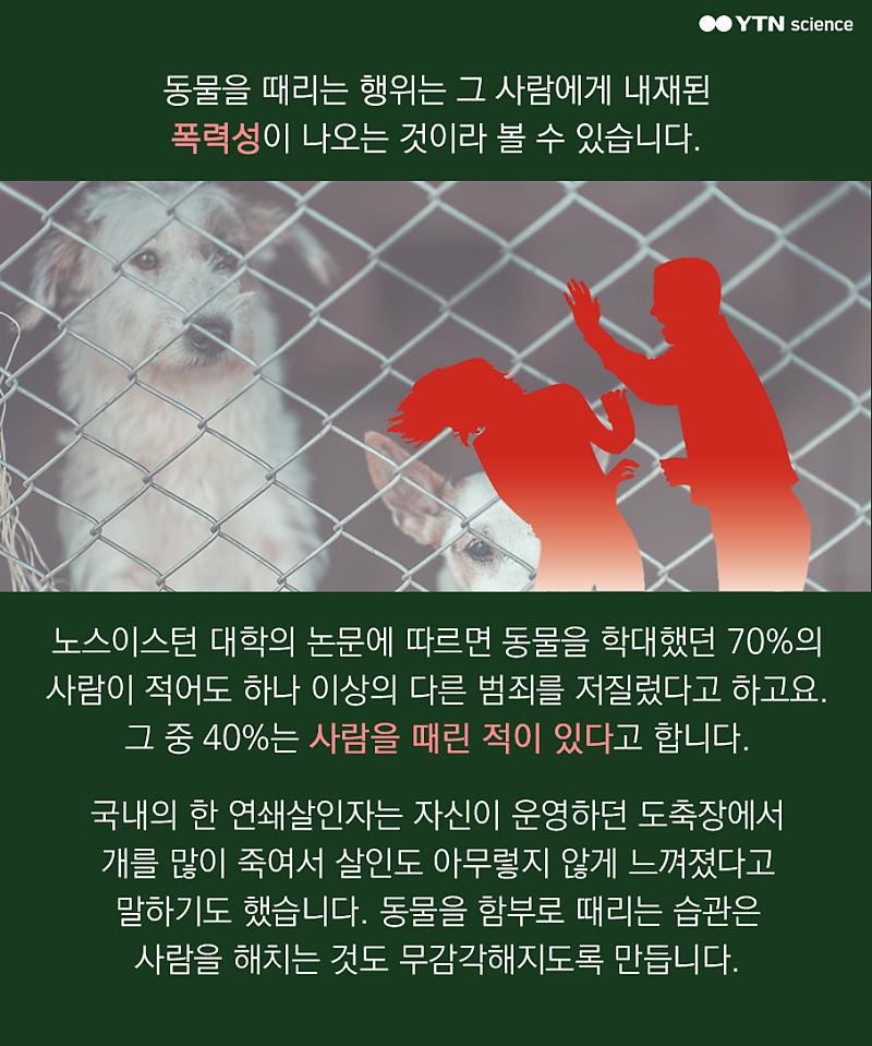 생명은 소유물이 아니야! 동물 학대하는 심리 : 네이버 포스트 생명은 소유물이 아니야! 동물 학대하는 심리 : 네이버 포스트