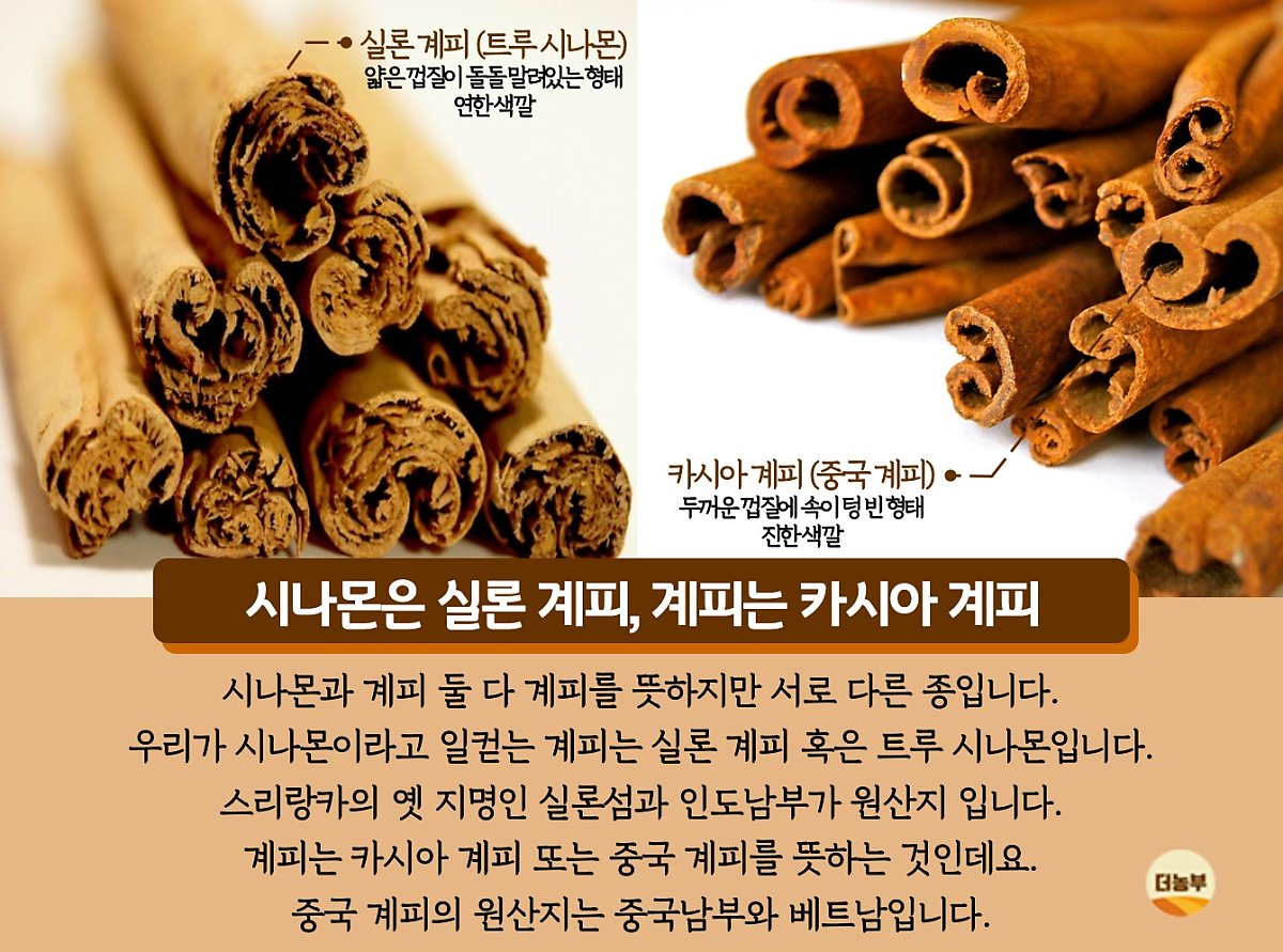 시나몬과 계피는 같은 거 아닌가요? 다릅니다! : 네이버 포스트