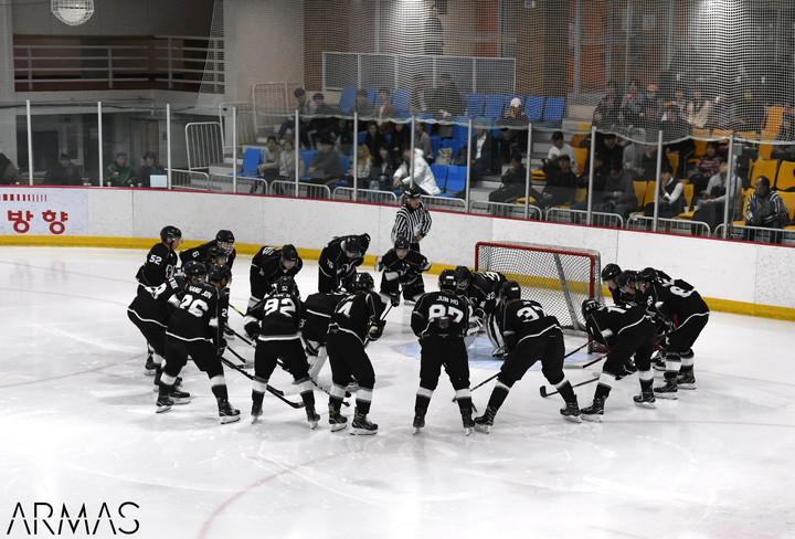 DSC_2460.png