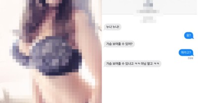 사촌 동생이 가슴 보여달라고 문자를 보냈어요 사촌 동생이 가슴 보여달라고 문자를 보냈어요