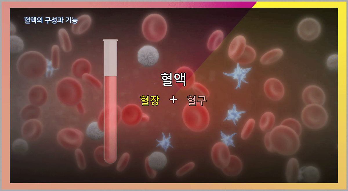 백혈구 수치 높이는 음식 살펴보고 챙겨먹어요 : 네이버 포스트