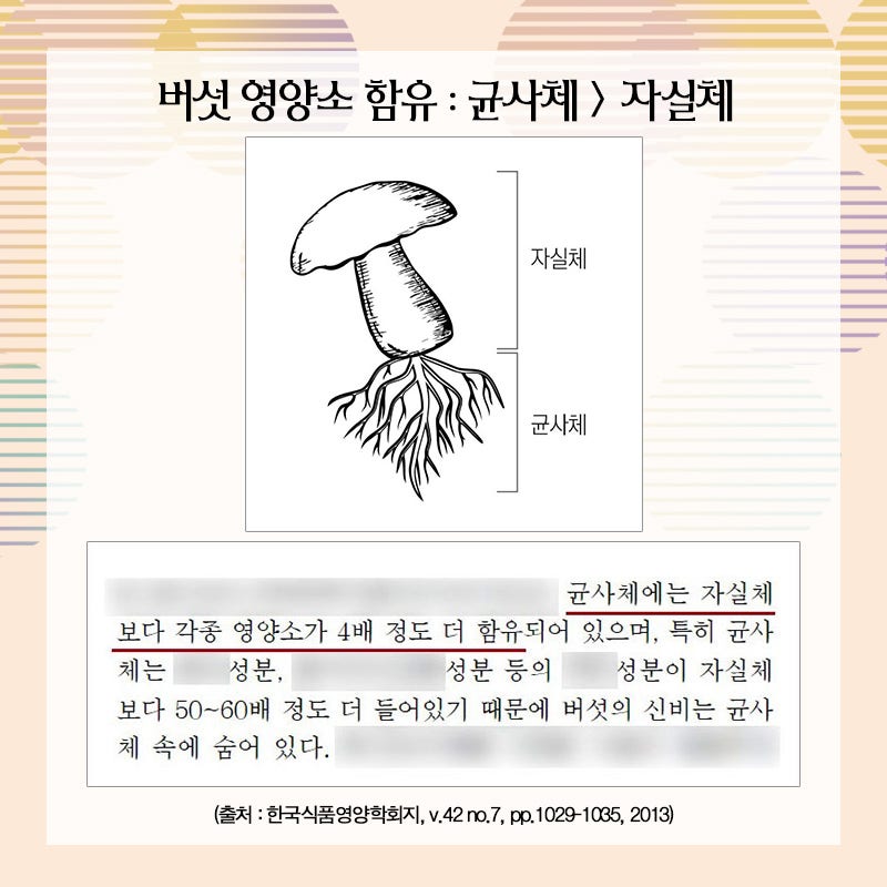 상황버섯 먹는법과 효과 5