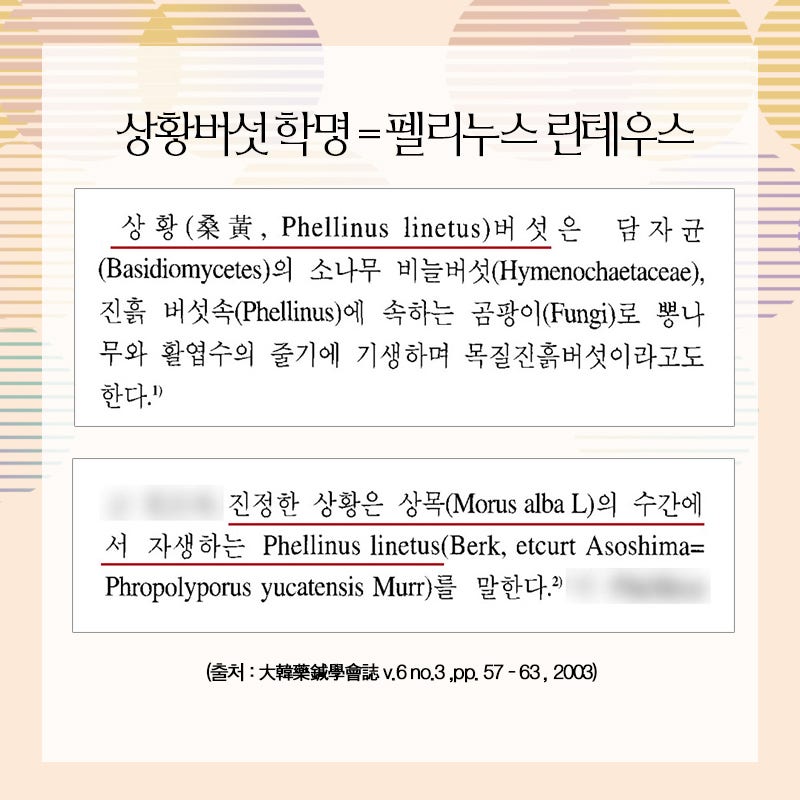 상황버섯 먹는법과 효과 3